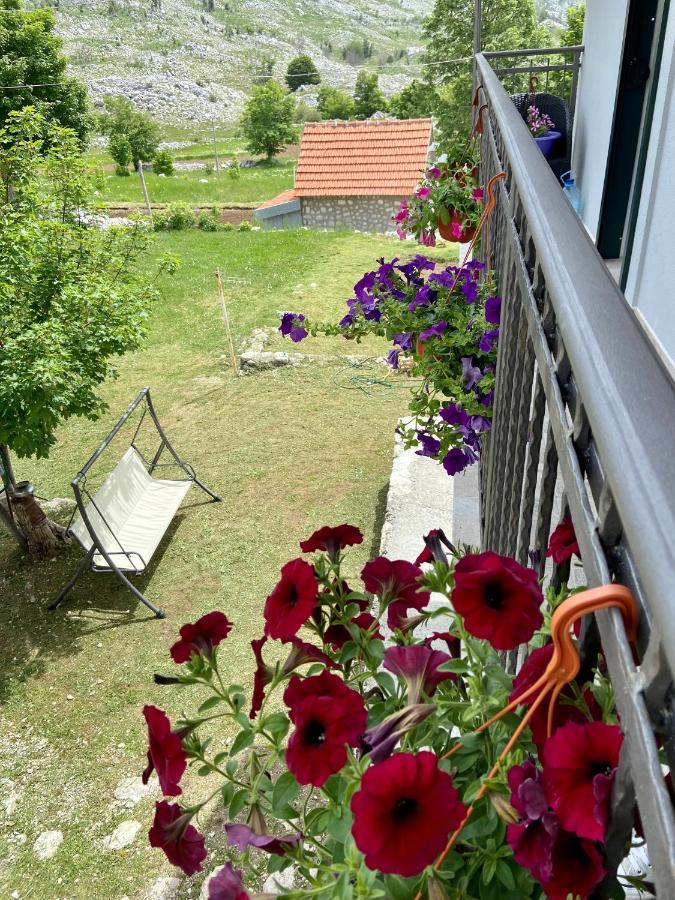 Guest House Markovic Lovcen 采蒂涅 外观 照片
