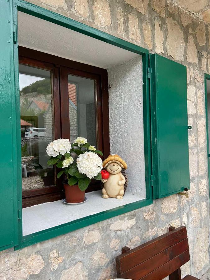 Guest House Markovic Lovcen 采蒂涅 外观 照片